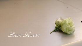 呆瓜吃青草,呆瓜的青草奇遇记