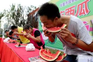吃瓜比赛怎么组织,一场别开生面的吃瓜比赛组织攻略