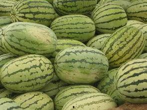 信阳吃瓜,探寻信阳特色美食的甜蜜奥秘