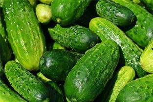 梦见有人给我一块脆瓜吃,脆瓜之谜的启示之旅