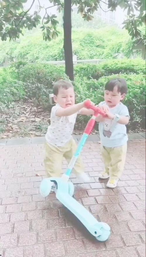 双包胎吃瓜群众,吃瓜群众的欢乐盛宴