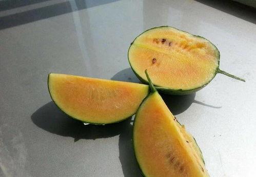 彩虹朋友吃瓜人