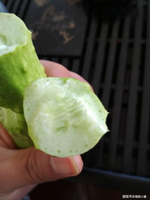 吃白玉瓜能减肥