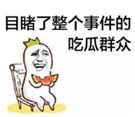 吃瓜群众是集群还是社群,集群还是社群的演变解析