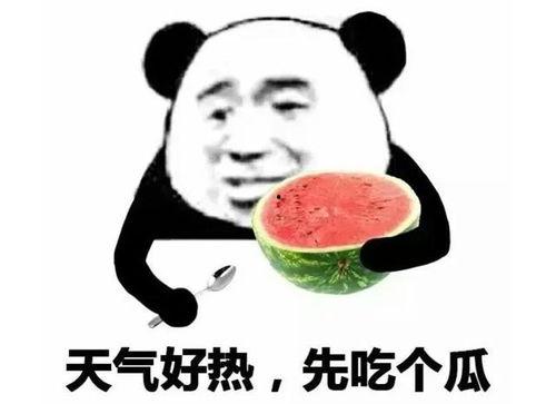 飞速吃瓜表情包